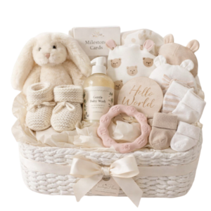 Baby Basket