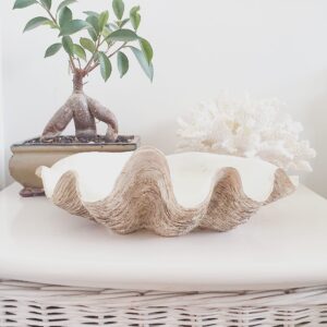Resin Clam Shell